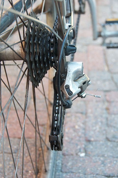 Batavus Cibola2