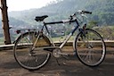 Koga Miyata heren - 60 cm