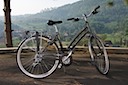 Gazelle Medeo grijs 54 cm