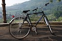 Giant Zwart heren - 56 cm
