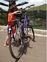 Giant Paars 54 cm